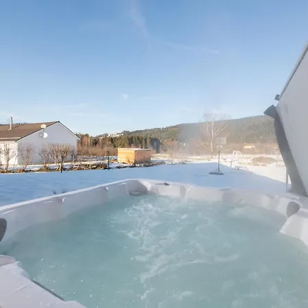Du Bien-etre 15p. Piscine,spa, Hammam,petanque,basket Gerardmer